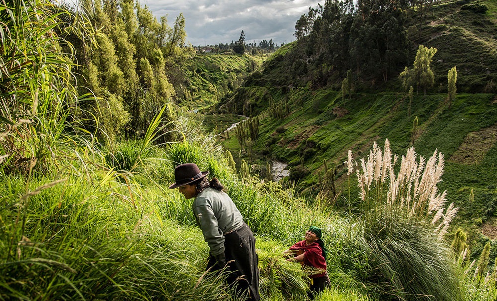 تصاویر : زندگی متفاوت روستاییان در اکوادور‎