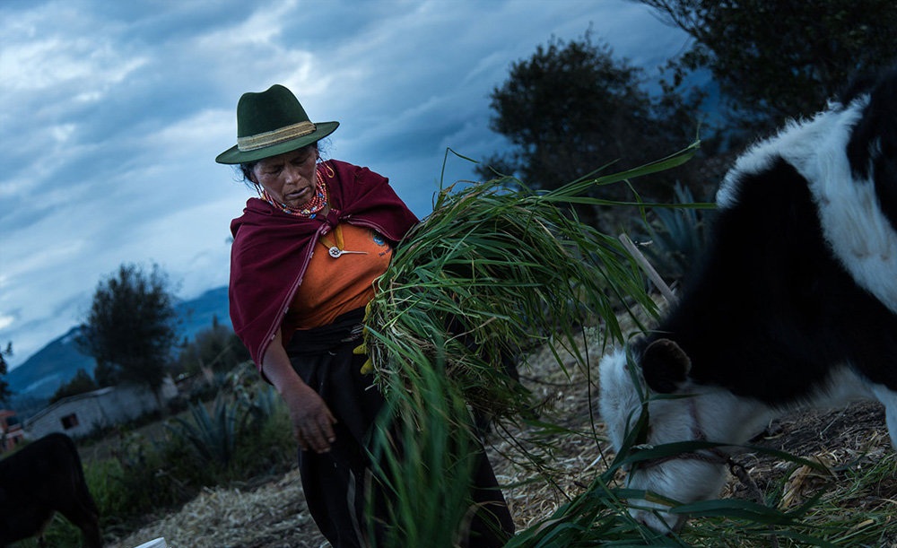 تصاویر : زندگی متفاوت روستاییان در اکوادور‎
