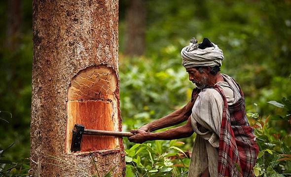 تصاویر : زندگی عشایر در جنگل های نپال