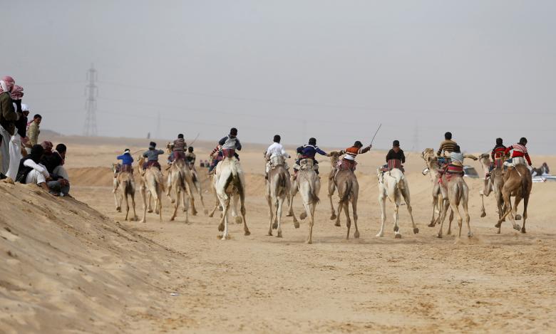 تصاویر : مسابقه شترسواری در صحرای مصر