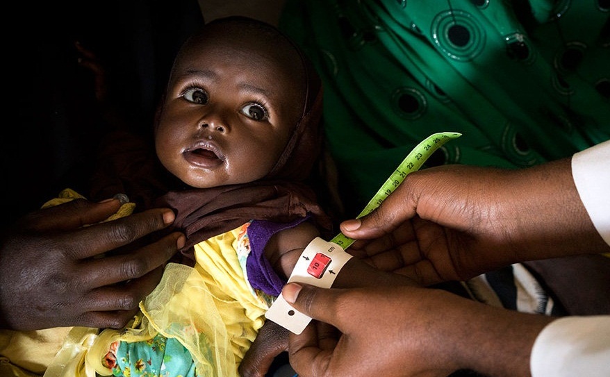تصاویر : مقابله با گرسنگی در سومالی‎
