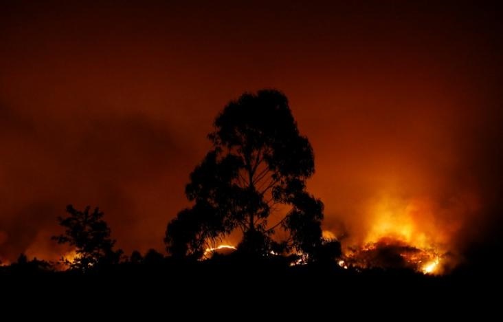 تصاویر : 57کشته و 59زخمی تاکنون در آتش‌سوزی مرگبار جنگل‌های پرتغال