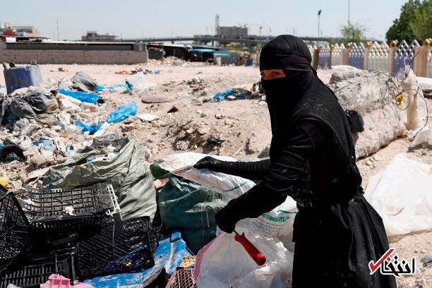 عکس/ زنان زباله گرد در نجف