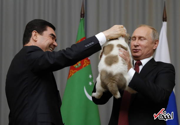 عکس/ رییس جمهور ترکمنستان به پوتین سگ هدیه داد