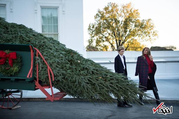 عکس/ همسر ترامپ درخت کریسمس را دریافت کرد