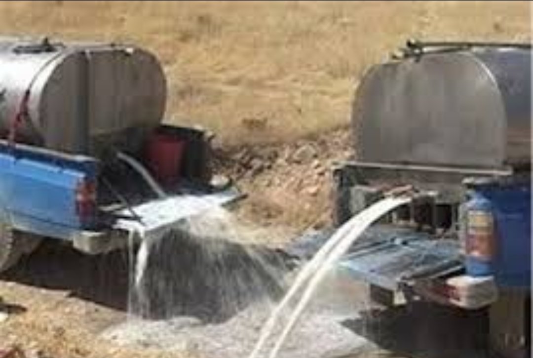 کشف 14 تن شیر فاسد در آذربایجان شرقی