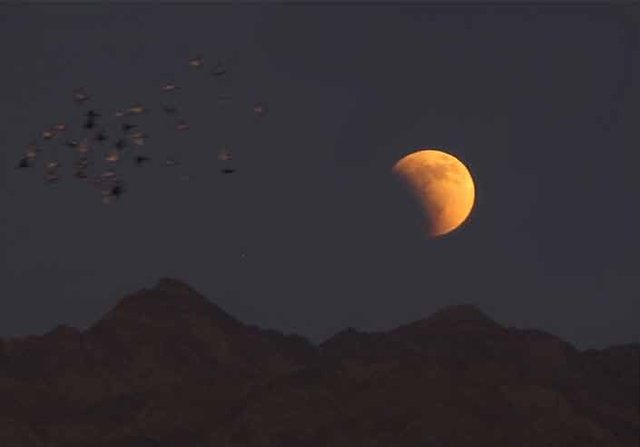 عرض جغرافیایی تبریز؛ بهترین موقعیت برای رصد ماه گرفتگی امشب