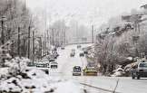 بارش شدید برف و باران در هراز و فیروزکوه/ لغزندگی جاده ها