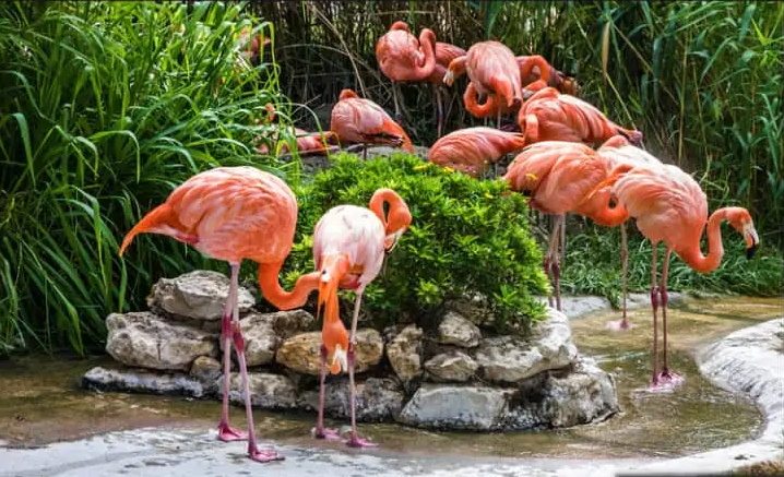 ۲۰ واقعیت جالب، بامزه و باورنکردنی برای ذهن های کنجکاو که آموزنده نیز هستند ۲۰ واقعیت جالب، بامزه و باورنکردنی برای ذهن های کنجکاو که آموزنده نیز هستند