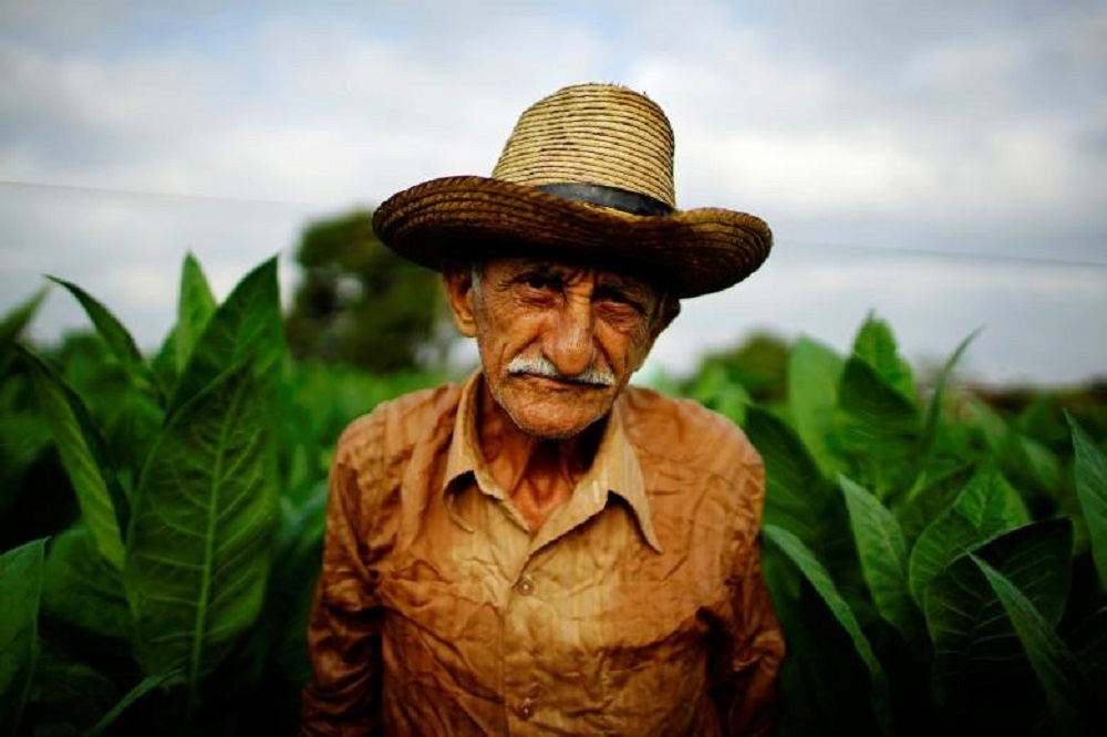 تصاویر : جشنواره تنباکو «هابانو» در کوبا