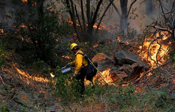 تصاویر : آتش در جنگل‌های کالیفرنیا