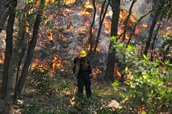 تصاویر : آتش در جنگل‌های کالیفرنیا