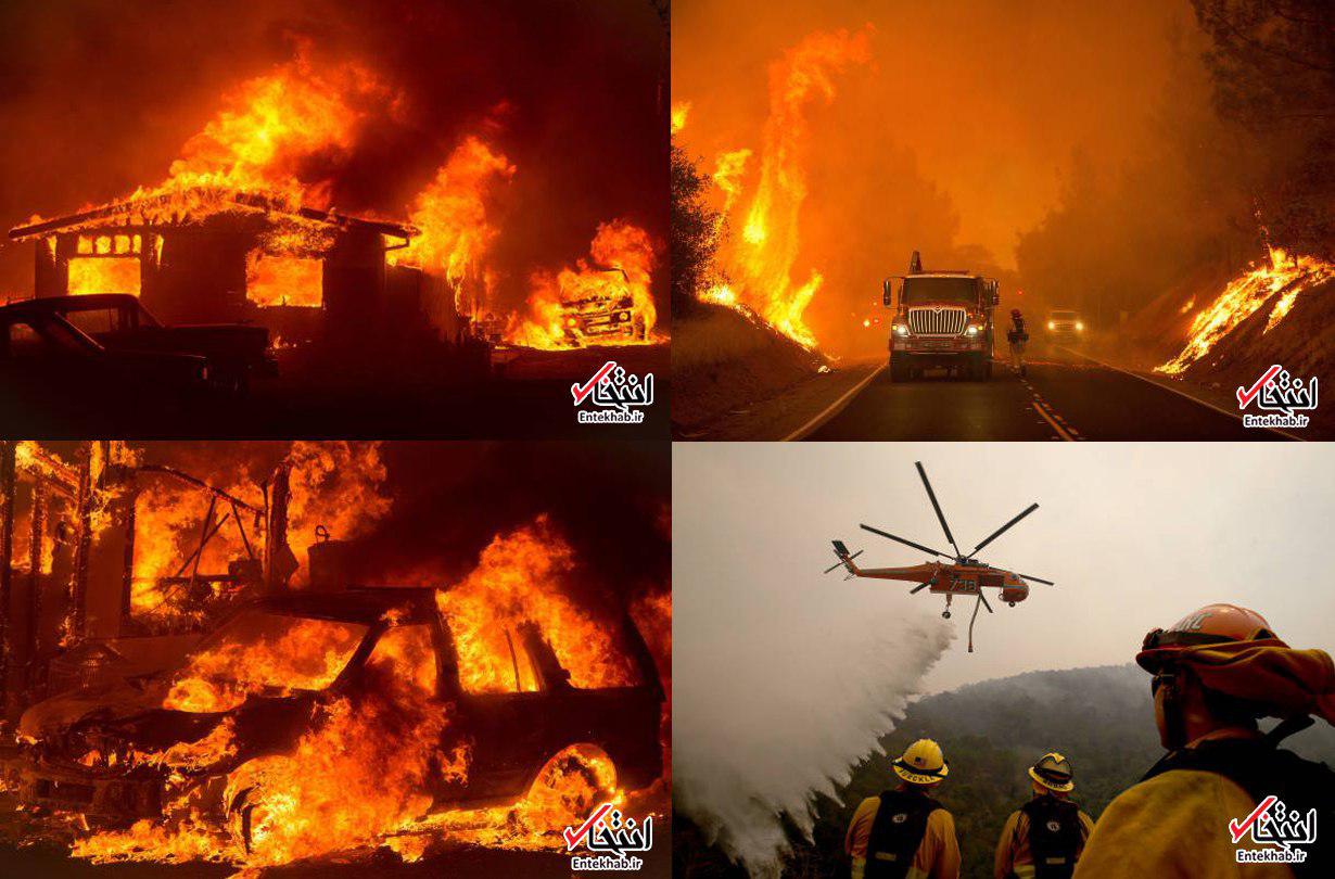 عکس / آتش سوزی جنگل‌های کالیفرنیای آمریکا
