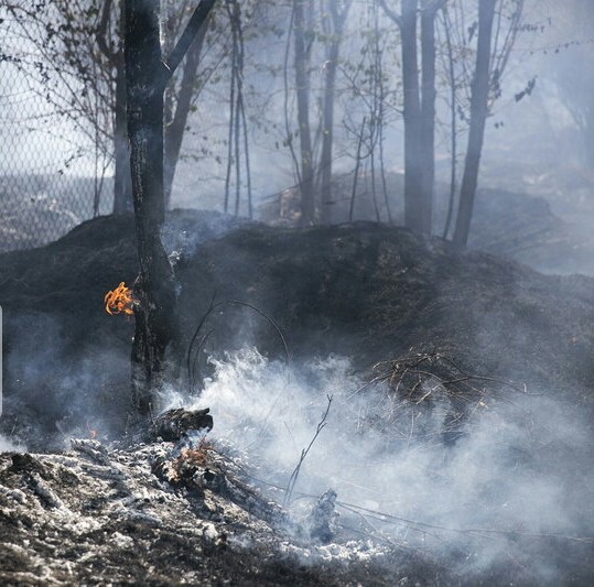 آتش سوزی حدود ۷۲ ساعته جنگل های گیلان مهار شد