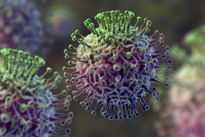 روزنامه سوئیسی: کرونا به ویروس سرماخوردگی عادی تبدیل خواهد شد