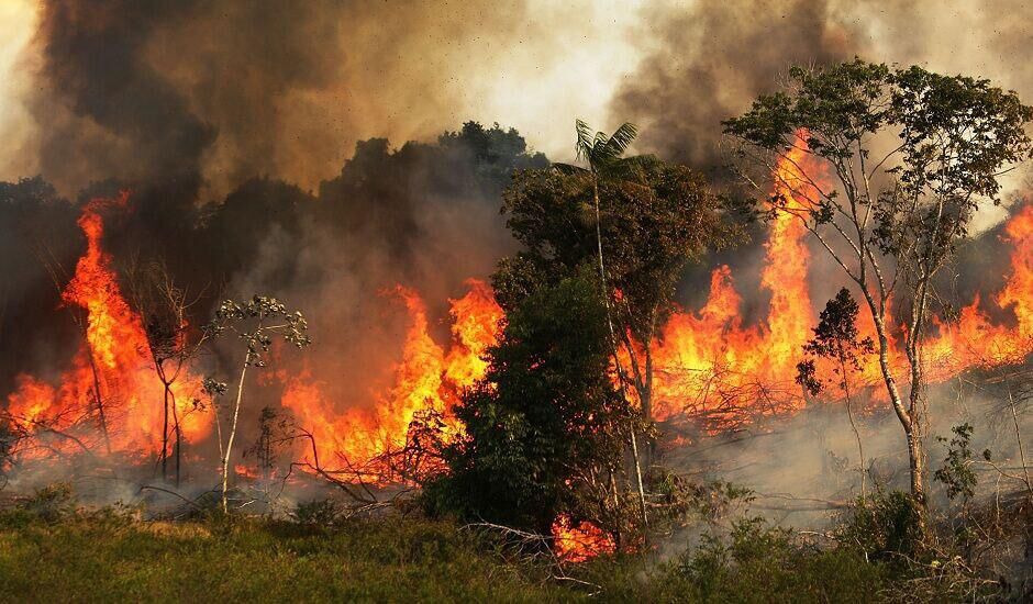برزیل کمک گروه هفت برای مقابله با آتش سوزی جنگل‌های آمازون را نپذیرفت