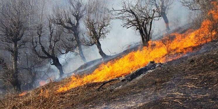حریق جنگل‌های گیلان خاموش شد / خسارت به ۱۴۰ هکتار از اراضی جنگلی