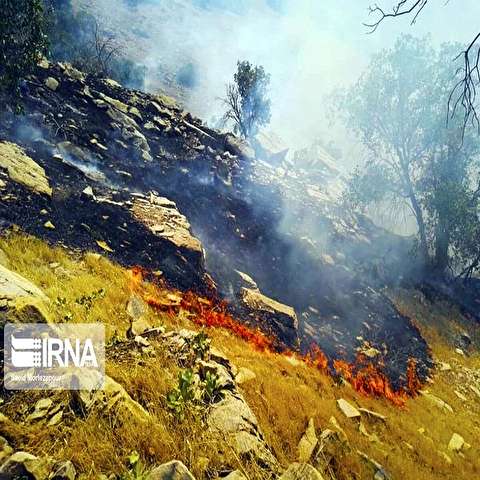 تصاویر: آتش سوزی کوه خاییز