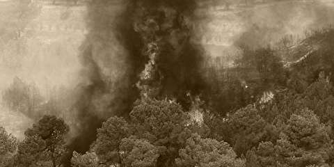 درصدی از ۱۱۰۰ مورد آتش‌سوزی اخیر جنگل‌ها، عمدی است / ممکن است پشت این موضوع، بهره‌برداری‌های سیاسی باشد