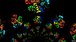 «دیپ‌مایند» گوگل مسئله ۵۰ ساله تاشدگی پروتئین‌ها را حل کرد: تحولی در درمان بیماری‌ها
