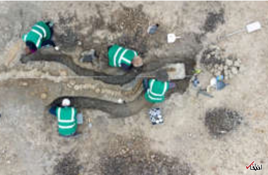 کشف فسیل یک اژد‌های دریایی عظیم الجثه در انگلستان