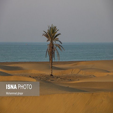 تصاویر: ساحل «درک»