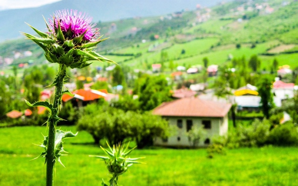 همنشینی با ابرها در ییلاق مازیچال کلاردشت همنشینی با ابرها در ییلاق مازیچال کلاردشت