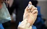 ستاد اجرایی فرمان امام:  واکسن برکت در ۹۱ درصد داوطلبان افزایش آنتی‌بادی در حد محافظت‌کنندگی داشته