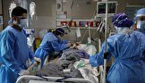 مشاهده‎شدن «قارچ‌‎ سیاه» در بیش از ۱۰ بیمار کرونایی در ایران / یک متخصص: این بیماران به دلیل نبود دارو یا فوت می‎ کنند یا بینایی خود را از دست می‎ دهند