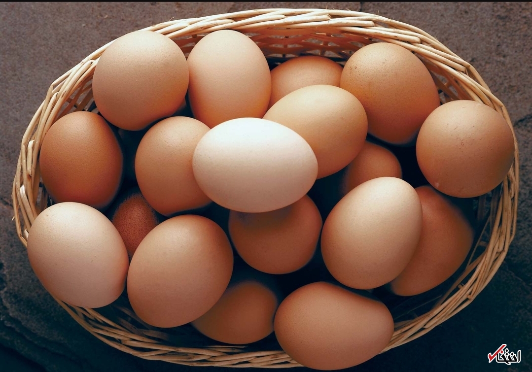 روز جهانی تخم مرغ مبارک!