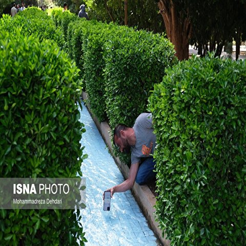تصاویر: مسافران نوروزی -باغ ارم شیراز
