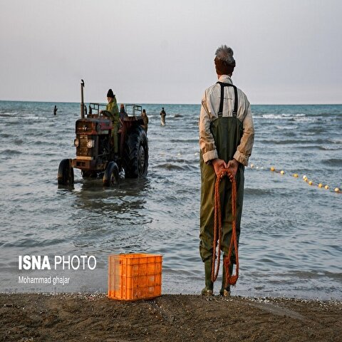 تصاویر: صید ماهی در سواحل شرقی دریای خزر