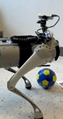 ویدیو / سگ رباتیکی که از پاهای خود برای ایستادن و تعامل با اجسام استفاده می‌کند