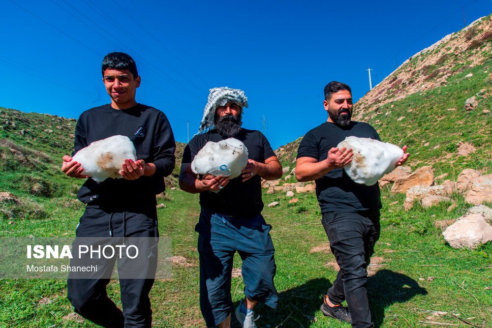 تصاویر: آیین «ورف چال» در روستای «آب اسک» آمل