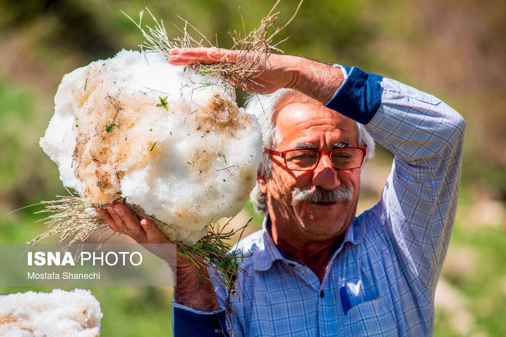 تصاویر: آیین «ورف چال» در روستای «آب اسک» آمل