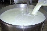 رئیس انجمن صنفی گاوداران می گوید قیمت ۱۵ هزار تومانی برای هر کیلوگرم شیر سودی برای تولیدکننده ندارد؛ باید قیمت هر کیلوگرم ۱۸ هزار تومان باشد